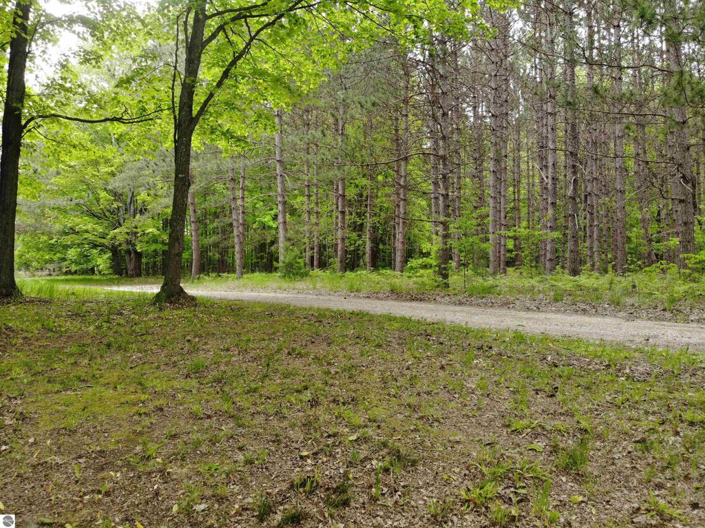 Image 8 of property listing at 135 Montgomery Road, South Boardman, MI 49680