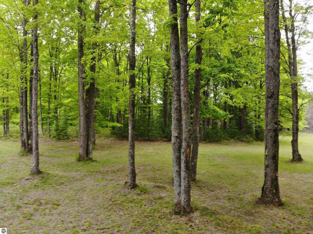 Image 9 of property listing at 135 Montgomery Road, South Boardman, MI 49680