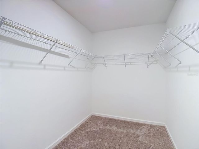 6206 DAERR RIDGE STREET, Zephyrhills, FL 33542