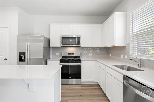 46 Sapwood Lane, Richmond Hill, GA 31324