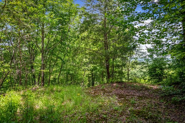Lt 379 Dream Catcher, Blue Ridge, GA 30513