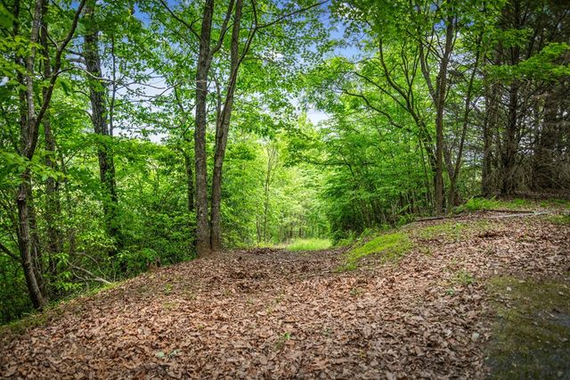 Lt 379 Dream Catcher, Blue Ridge, GA 30513