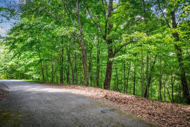 Lt 379 Dream Catcher, Blue Ridge, GA 30513