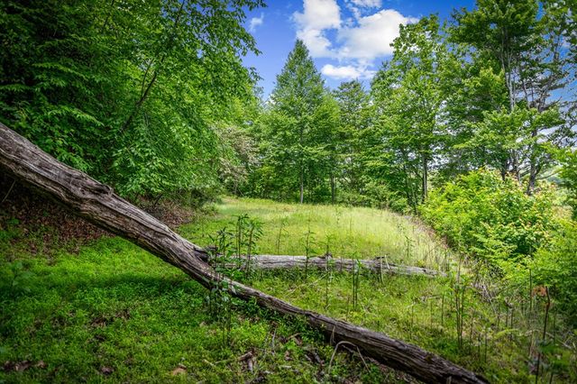 Lt 379 Dream Catcher, Blue Ridge, GA 30513