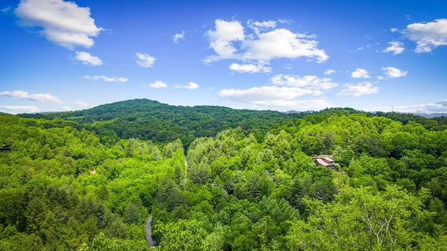 Lt 379 Dream Catcher, Blue Ridge, GA 30513
