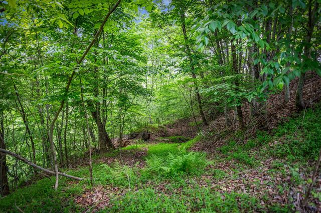 Lt 379 Dream Catcher, Blue Ridge, GA 30513