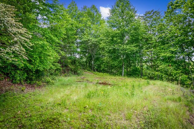 Lt 379 Dream Catcher, Blue Ridge, GA 30513