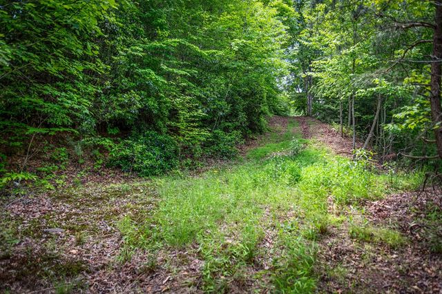 Lt 379 Dream Catcher, Blue Ridge, GA 30513