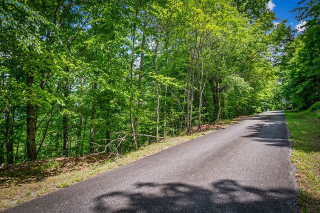 Lt 379 Dream Catcher, Blue Ridge, GA 30513