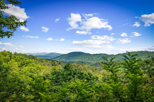 Lt 379 Dream Catcher, Blue Ridge, GA 30513