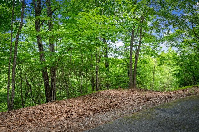 Lt 379 Dream Catcher, Blue Ridge, GA 30513