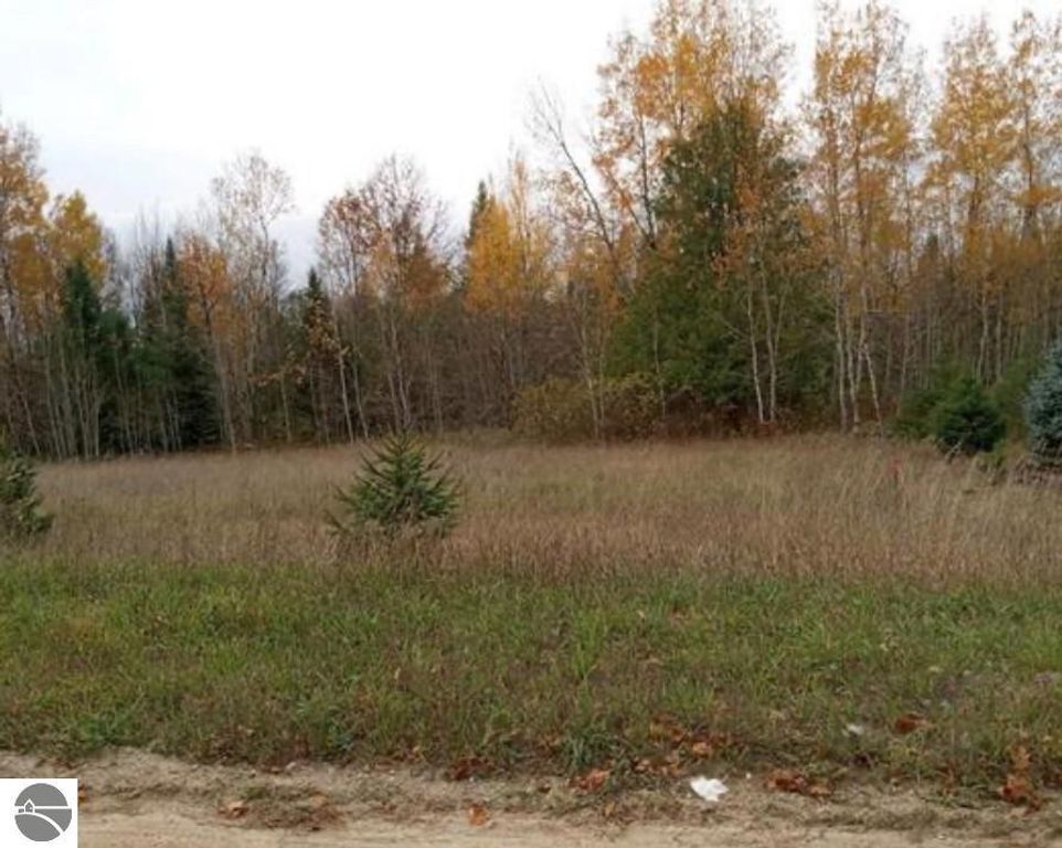 Image 5 of property listing at 000 Bennett Road, Williamsburg, MI 49690