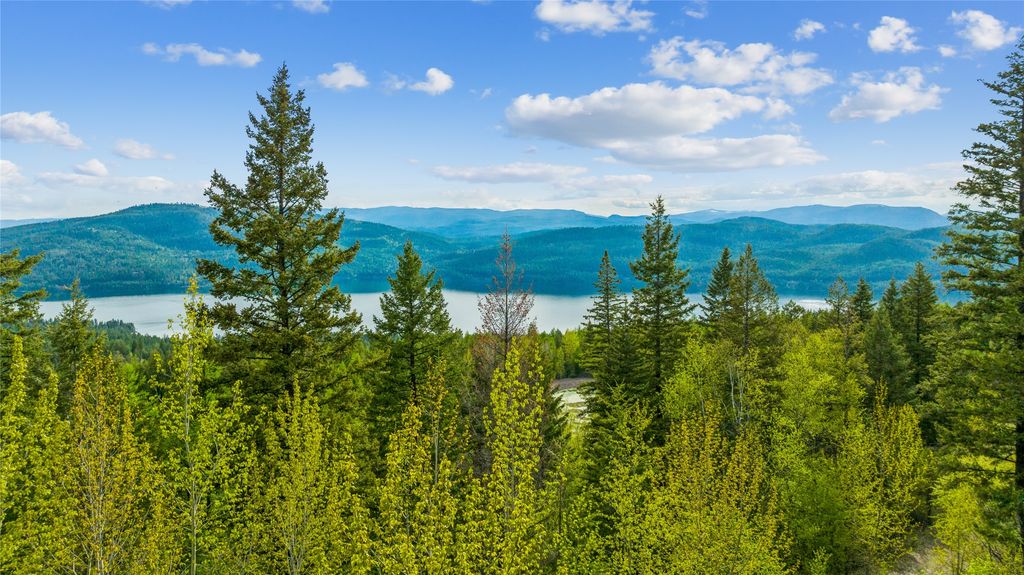 201 Whitefish Lookout Road, Whitefish, MT 59937
