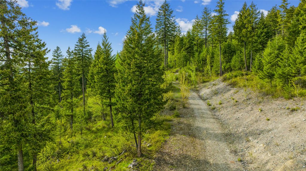 201 Whitefish Lookout Road, Whitefish, MT 59937 photo 14