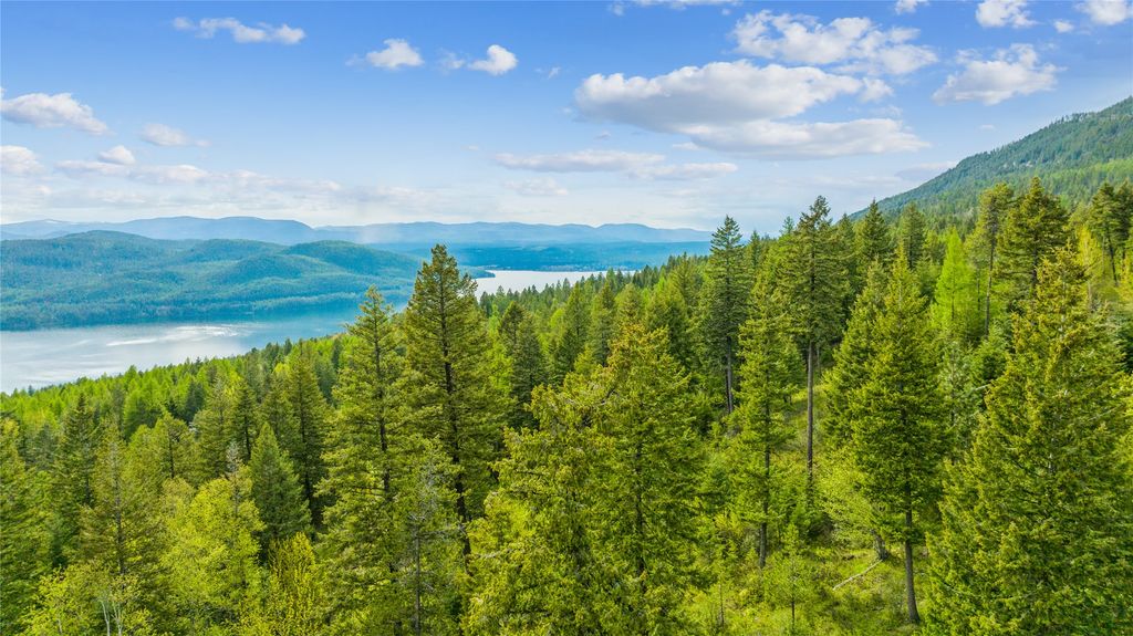 201 Whitefish Lookout Road, Whitefish, MT 59937 photo 6