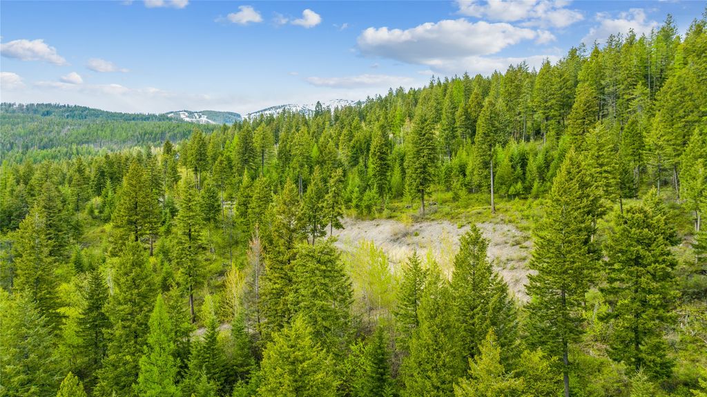 201 Whitefish Lookout Road, Whitefish, MT 59937 photo 9