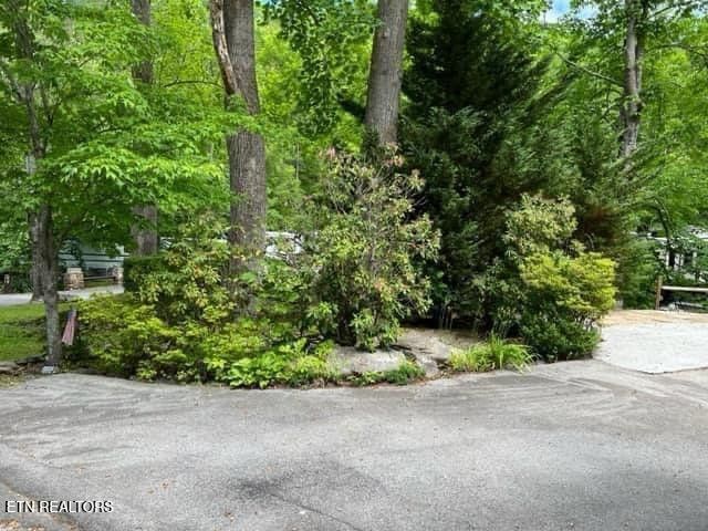 4224 E Parkway, Gatlinburg, TN 37738