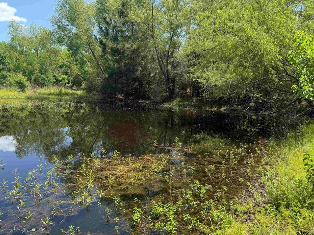 199 PR 5000, Crockett, TX 75835
