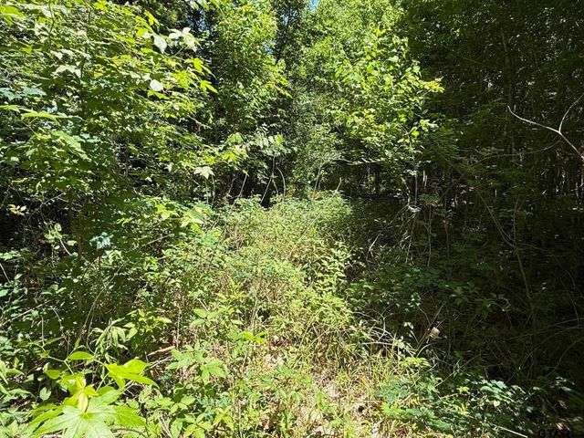 199 PR 5000, Crockett, TX 75835