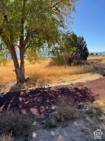 1360 N 3900 W, Fillmore, UT 84631