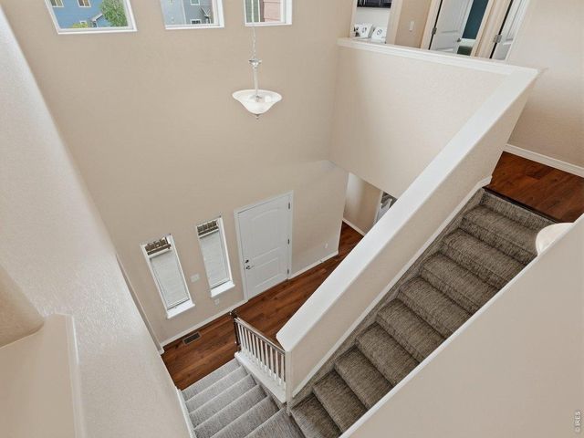 623 Goose Lake Ct, Windsor, CO 80550