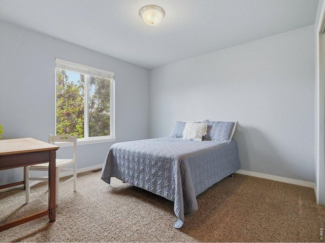623 Goose Lake Ct, Windsor, CO 80550