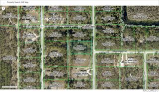 18251 Ramsey Road, Weeki Wachee, FL 34614
