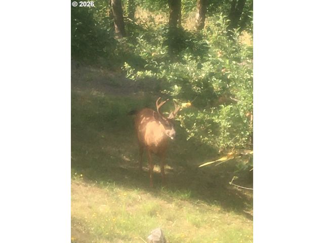 4955 GREEN MOUNTAIN Rd, Kalama, WA 98625