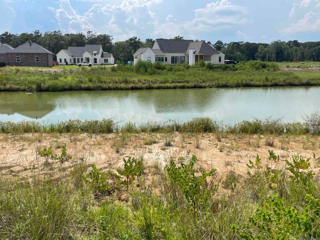 16083 Leni Dr, Prairieville, LA 70769