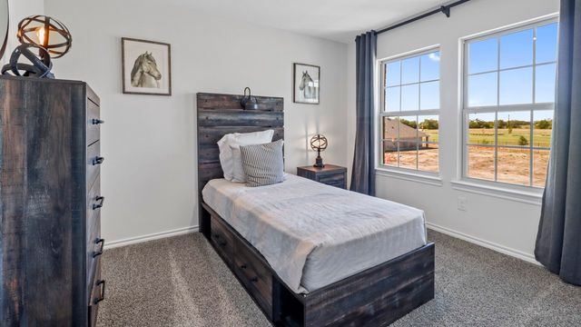 316 Saddle Blanket Drive, Josephine, TX 75173
