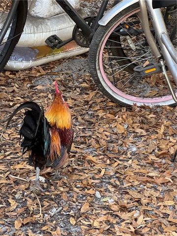 837 Pine Cone AVE, Clewiston, FL 33440