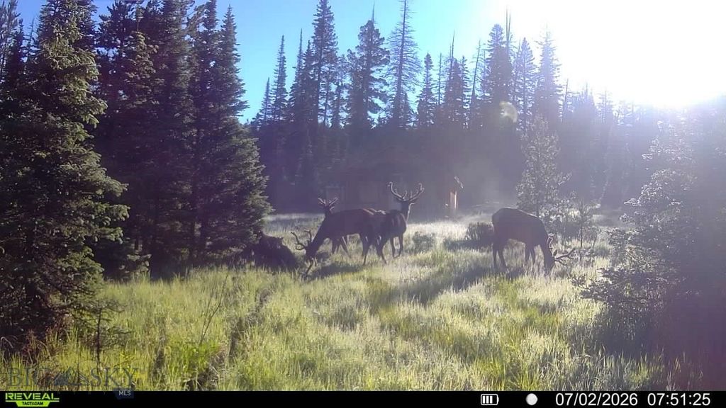 7379 Hahn Creek Road, Elliston, MT 59728 — photo 3