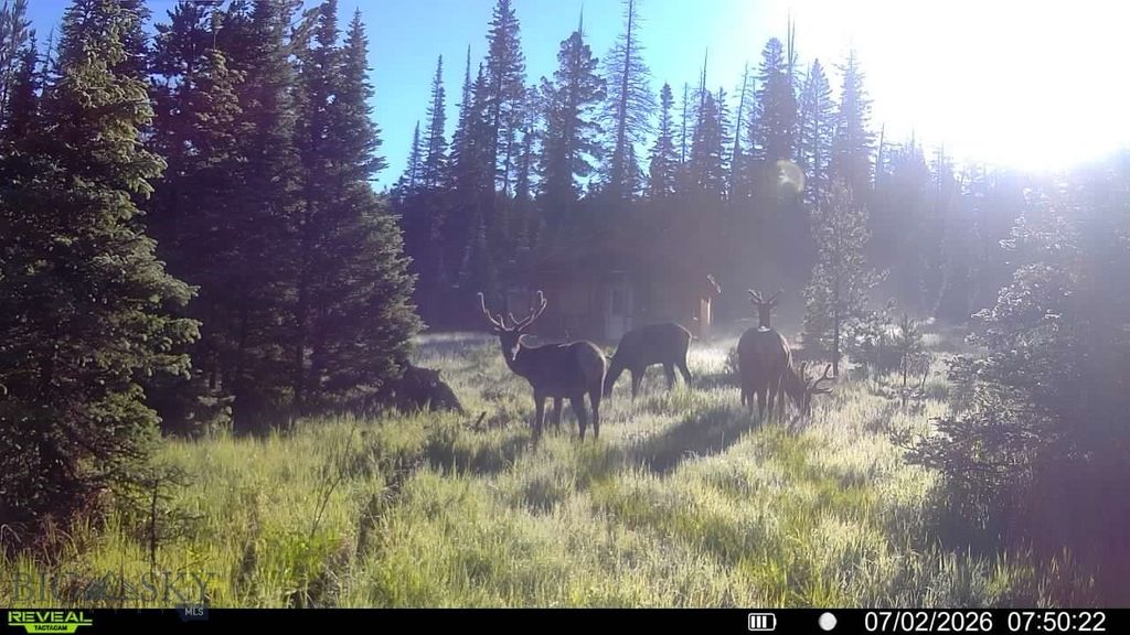 7379 Hahn Creek Road, Elliston, MT 59728 — photo 4