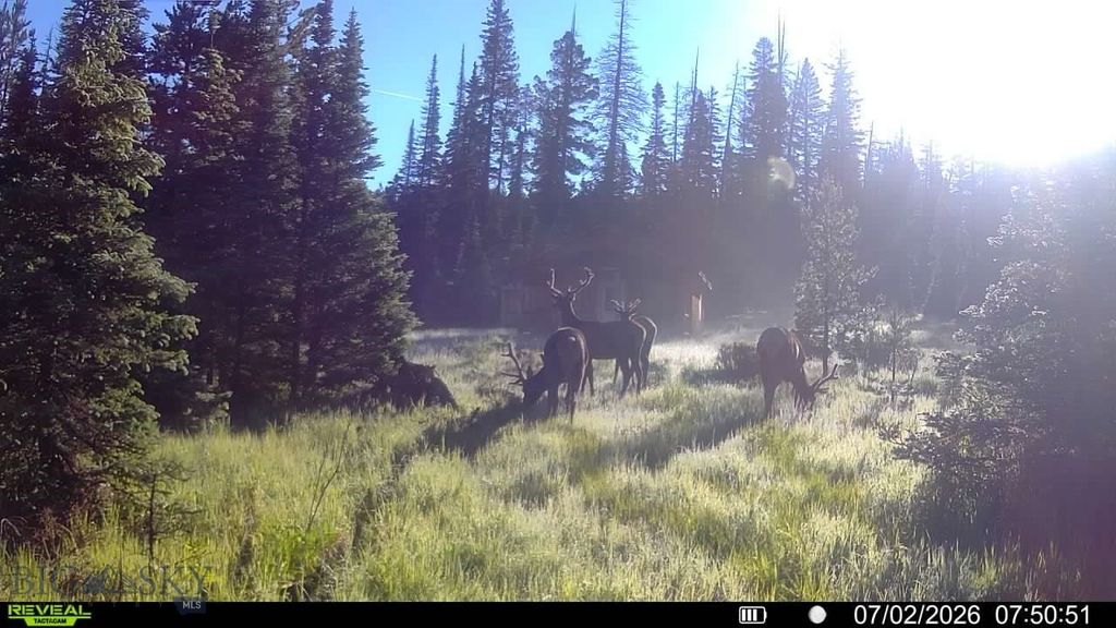 7379 Hahn Creek Road, Elliston, MT 59728 — photo 5