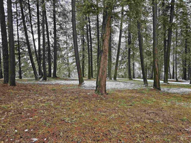 367 Crestview Drive, Orofino, ID 83544