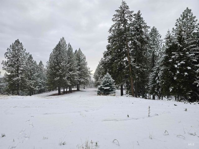 367 Crestview Drive, Orofino, ID 83544