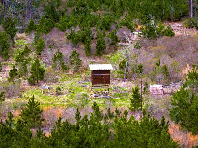 9572 Fm 355, Trinity, TX 75862