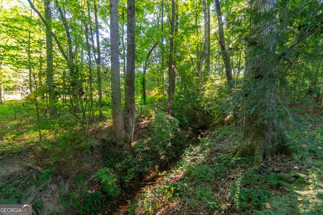 102 Trent Trail, Cleveland, GA 30528