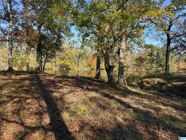 137 RIVER RUN ROAD, Childersburg, AL 35044