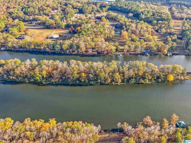 137 RIVER RUN ROAD, Childersburg, AL 35044