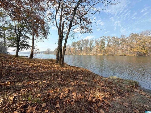 137 RIVER RUN ROAD, Childersburg, AL 35044