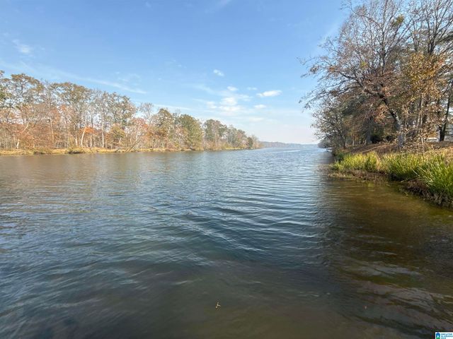 137 RIVER RUN ROAD, Childersburg, AL 35044