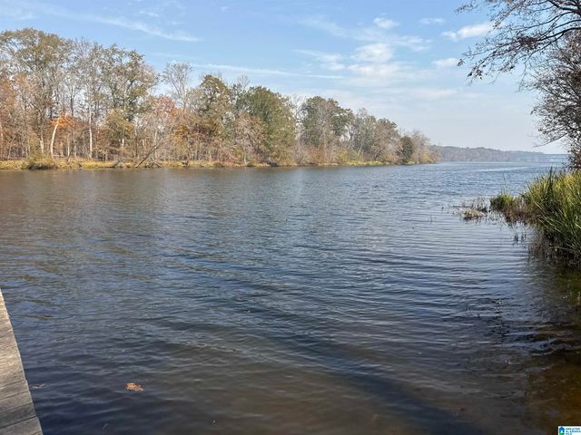 137 RIVER RUN ROAD, Childersburg, AL 35044