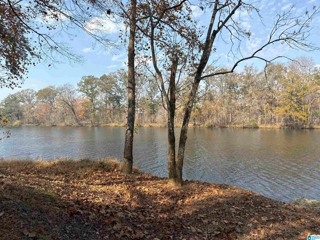 137 RIVER RUN ROAD, Childersburg, AL 35044