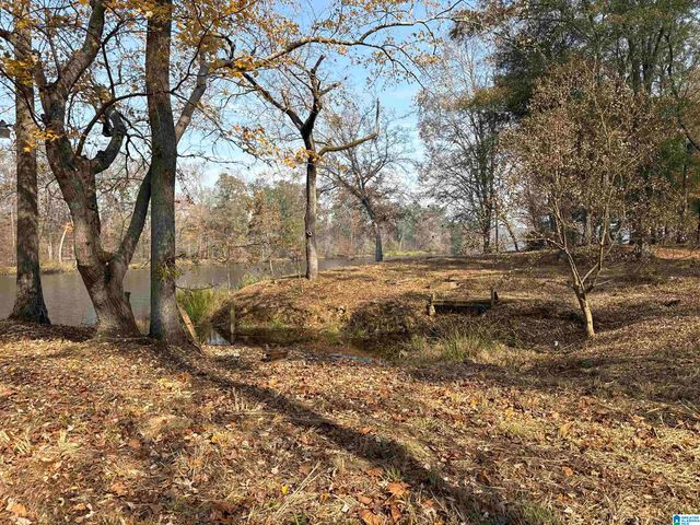 137 RIVER RUN ROAD, Childersburg, AL 35044