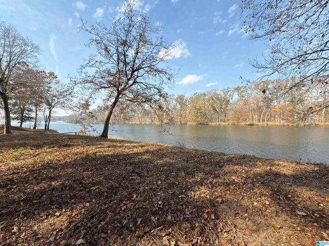 137 RIVER RUN ROAD, Childersburg, AL 35044