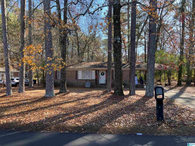 117 LAKE DRIVE NE, Birmingham, AL 35215