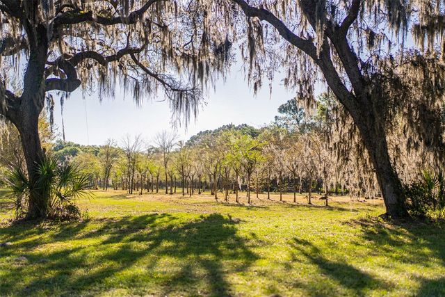 280 CAMPBELL RANCH RUN, Geneva, FL 32732