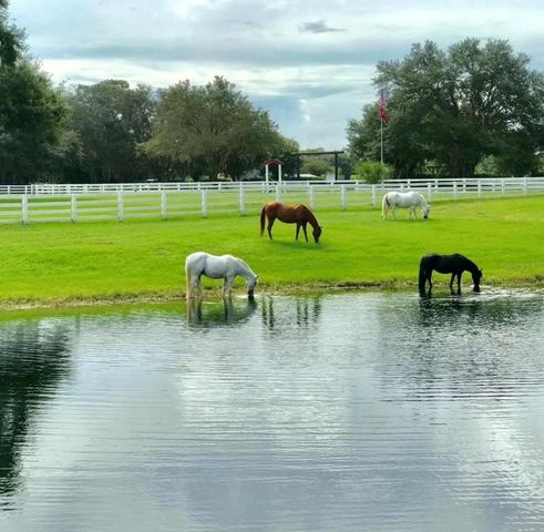 280 CAMPBELL RANCH RUN, Geneva, FL 32732