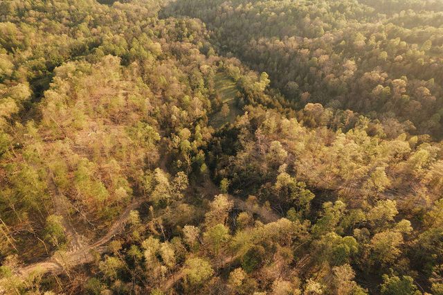 2697 Pine Ridge Road, Winchester, KY 40391